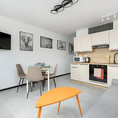 Am Center 4 Santocka *