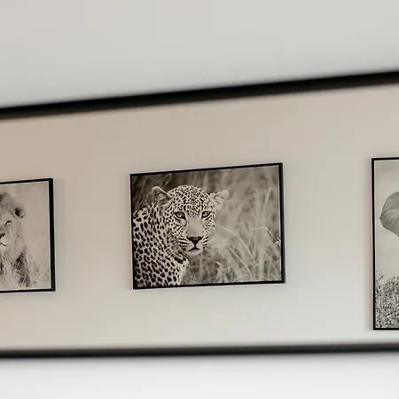 Centrum 2 Santocka Stettin