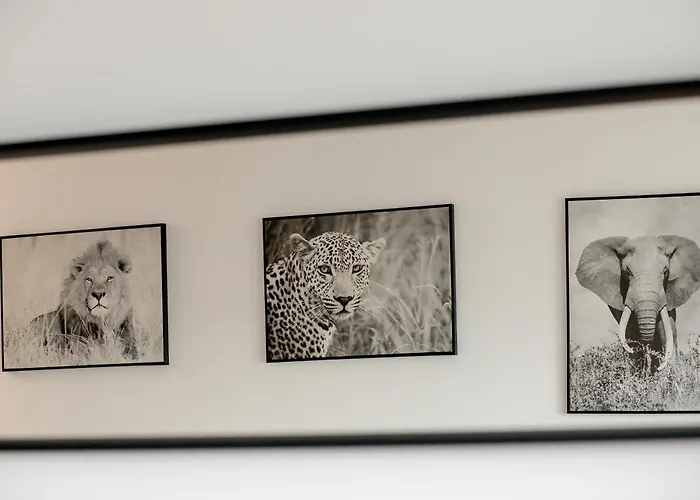 Am Apartments Szczecin City Center 4 Santocka Stettin